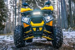 Квадроцикл WELS Thunder Trail 125 PRO
