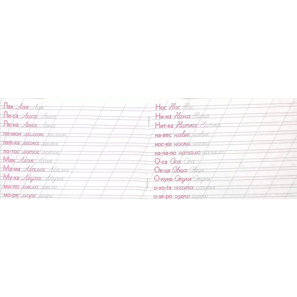 Каллиграфическая пропись. Пишем слова