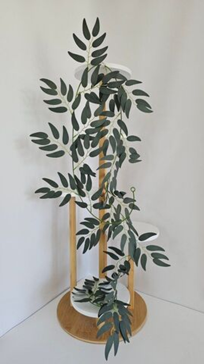 Рускус лиана / Арт 4354