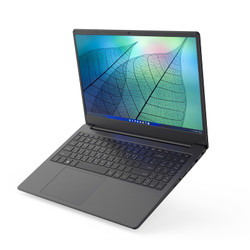 Ноутбук Hiper WORKBOOK A1568K (A1568K1035WI) Black Core i5-1035G1/8G/512G SSD/15.6" FHD IPS/WiFi/BT/Win11 Pro