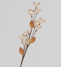 TR 381 Любимая