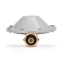 Редуктор бытовой пропановый РДСГ-1-1,2