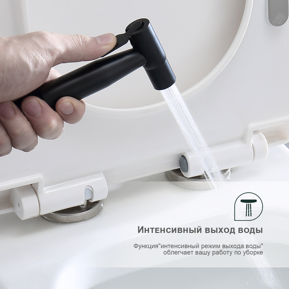 Смеситель с гигиеническим душем встраиваемый SPLENKA S221.52.06