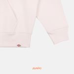  Толстовка мужская Dickies Enterprise Hoodie артикул:DK0A4Z2NF901 - купить в магазине Дайс