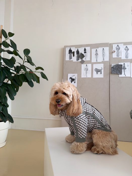 РУБАШКА САВЬЕ ДЛЯ СОБАК ХАКИ