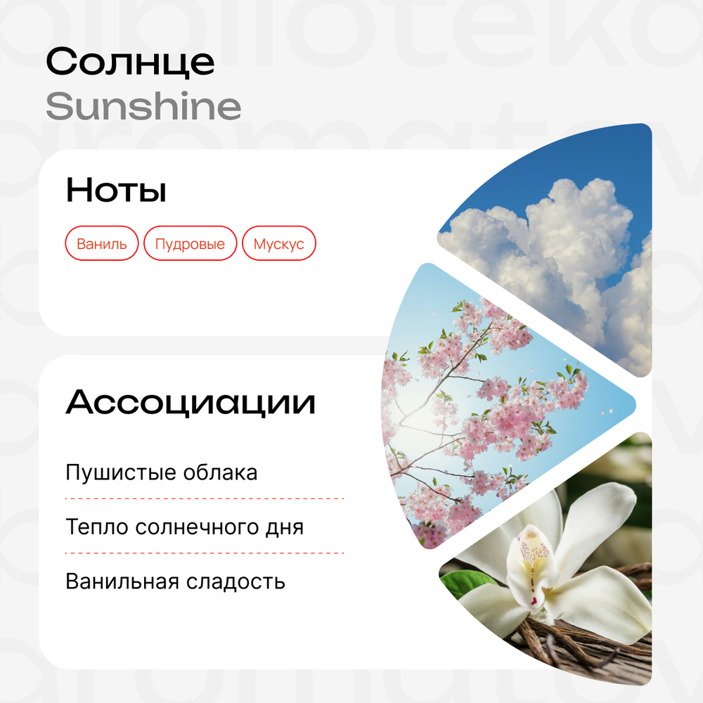 Солнце