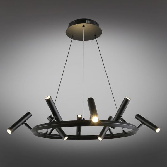 Подвесная светодиодная люстра Aployt Honor APL.067.03.40