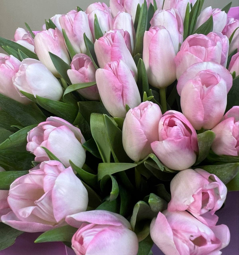 Букет розовых тюльпанов 49 шт.