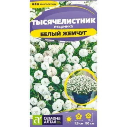 Тысячелистник Белый жемчуг 0,05г Семена Алтая - многолетник