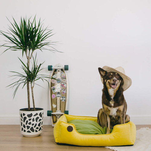 Лежанка из микровелюра, желтый Rachel WOW