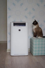 Климатический комплекc Sharp KCG41RW,  до 28м2,  с ионизацией, белый