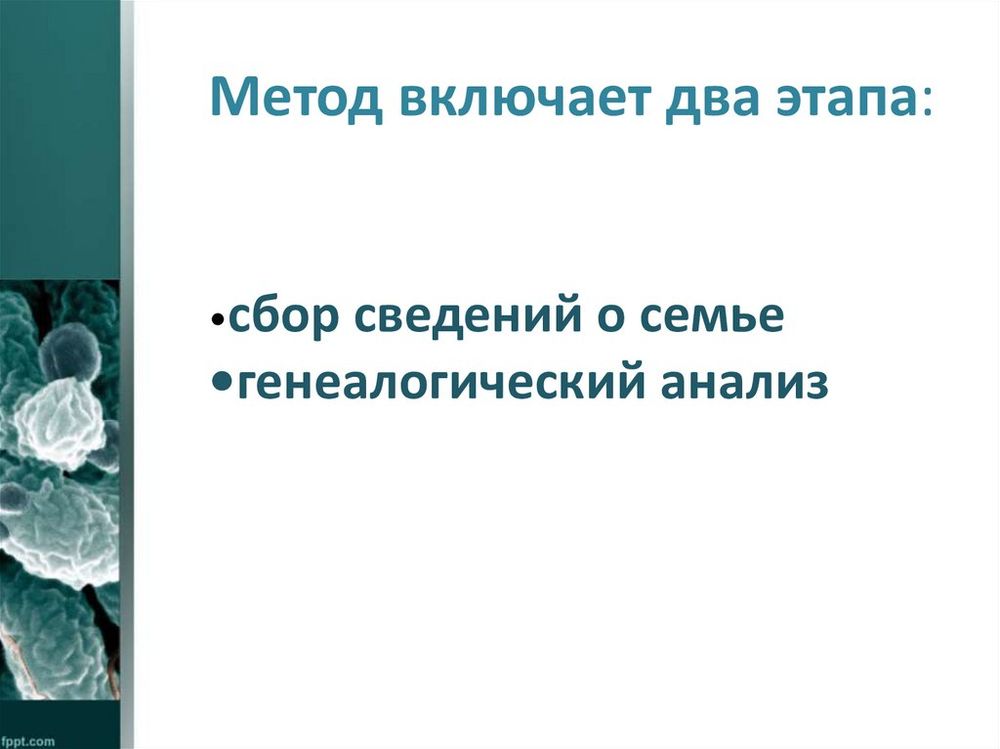 Модель-аппликация Генеалогический метод антропогенетики — купить по ФГОС | Учебный стандарт