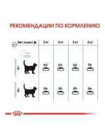 ROYAL CANIN DIGESTIVE CARE (Роял Канин Дайджестив Кэа) корм сухой для кошек Digestive Care 2 кг.