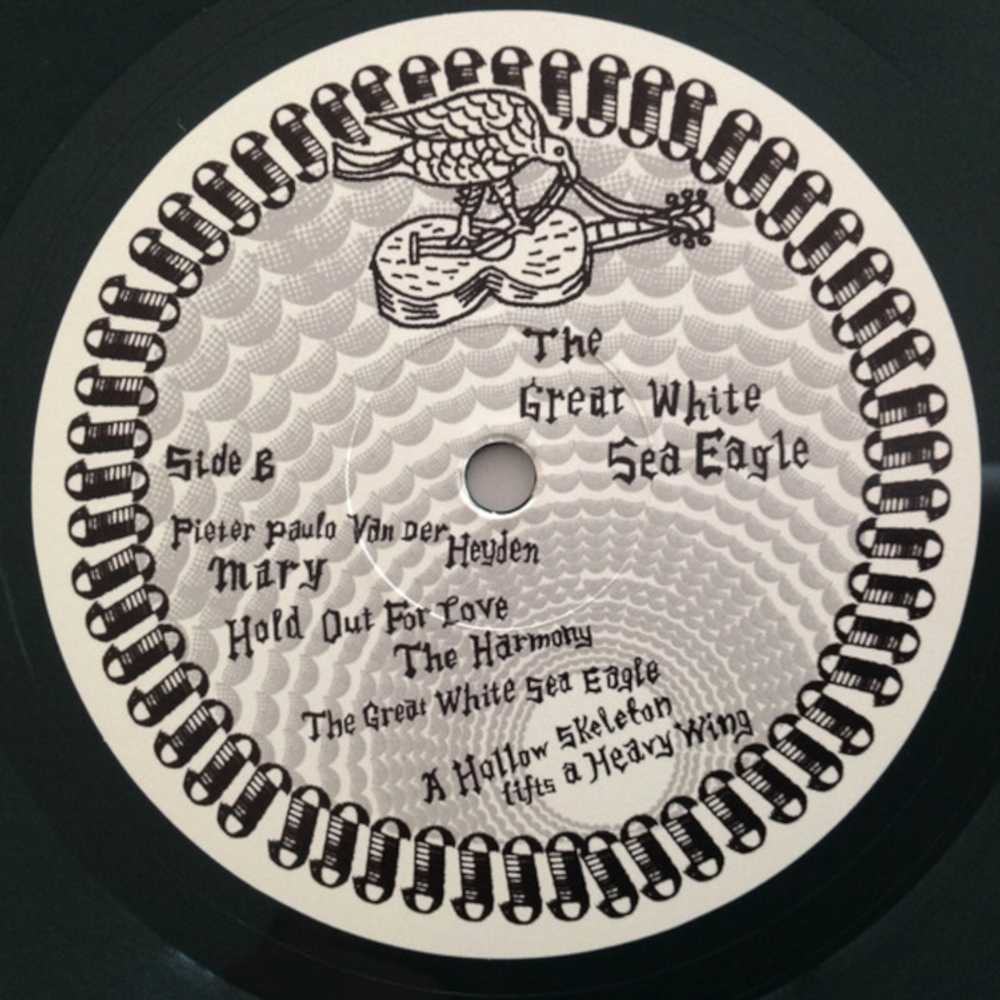 James Yorkston, Nina Persson And The Second Hand Orchestra / The Great White Sea Eagle (Coloured Vinyl)(LP)