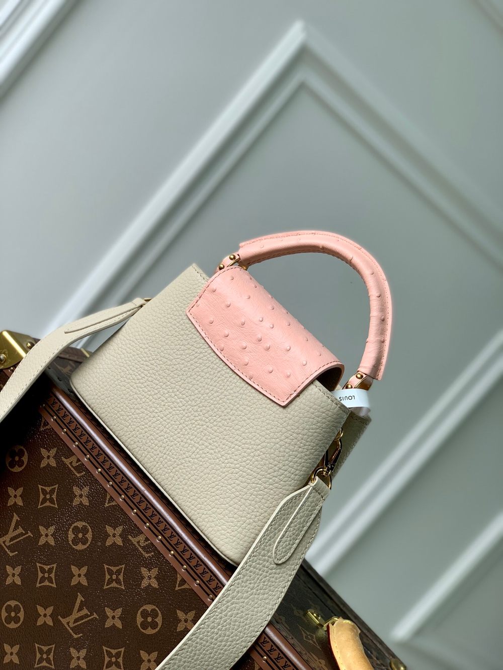 Louis Vuitton Capucines Mini