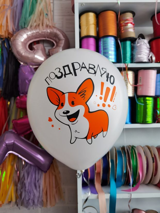 Шар с рисунком 30 см Корги Поздравляю! белый (БГ-17)