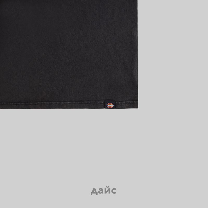 Футболка мужская Dickies Plentywood артикул:DK0A866BH861 - купить в магазине Дайс