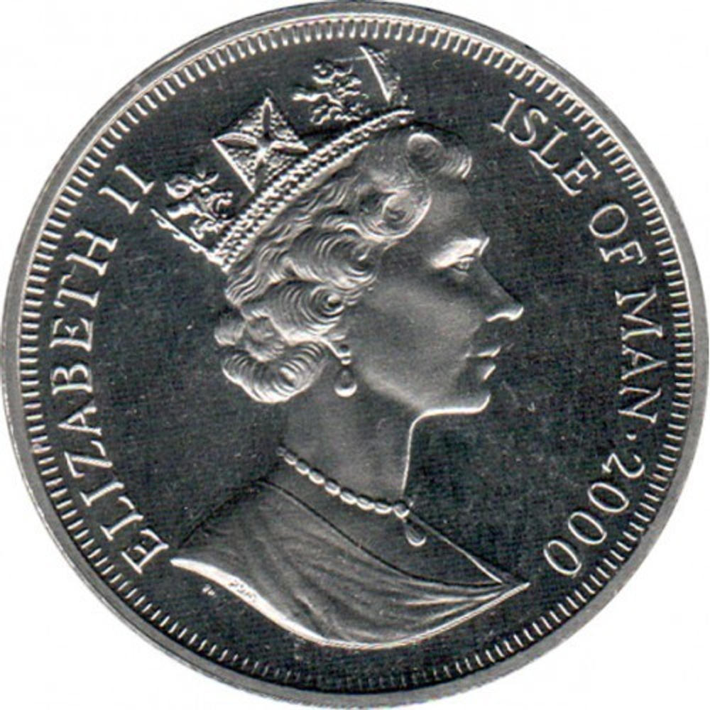 Шотландская вислоухая кошка