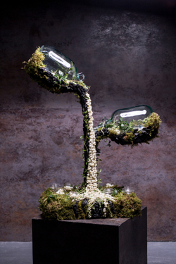 International Floral Art 2018/2019