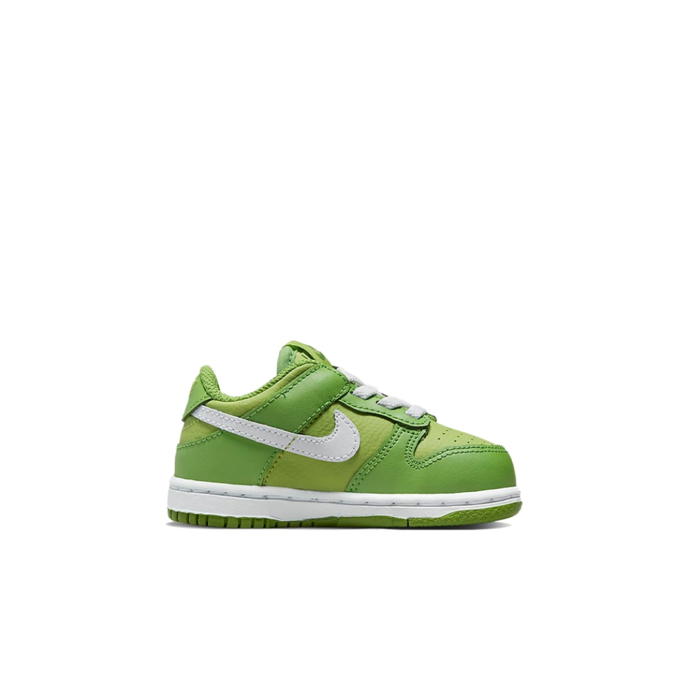 Детские кроссовки Nike Dunk Low 'Chlorophyll' DH9761-301