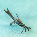 Фигура краба