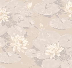 Шервуд Нимфея Альба