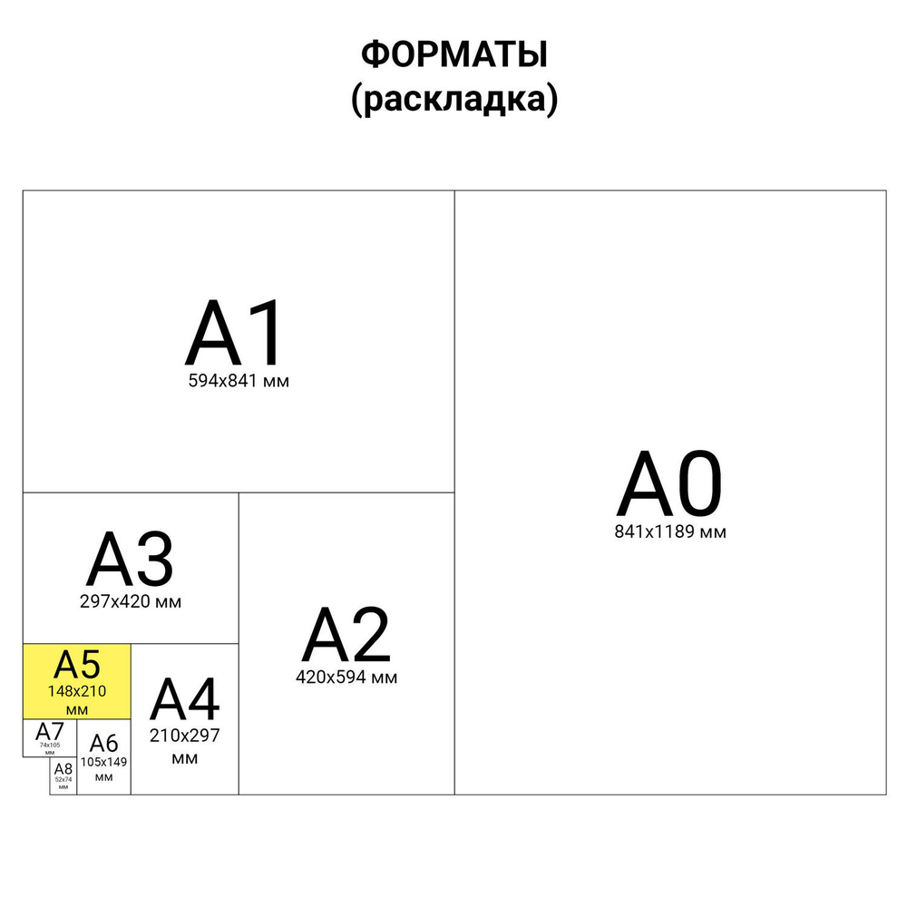 Тетрадь на кольцах А5 160х215 мм, 80 л., пластик, клетка, BRAUBERG, "Голубой", 403251