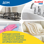 Пятновыводитель-отбеливатель кислородный многофункциональный 1 кг LAIMA EXPERT (2 штуки в упаковке)