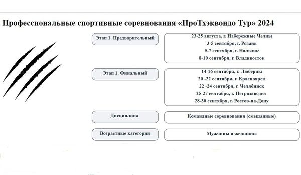 ПроТхэквондо - Профессиональные спортивные соревнования «ПроТхэквондо Тур» 2024