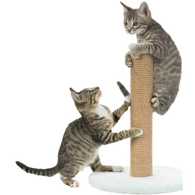 Столбик-когтеточка Junior на подставке, 42 см, мятный, Trixie