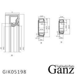Подшипник ступицы передний MB W124/201 (полный к-т) GANZ GIK05198