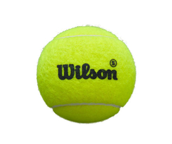 Мяч Wilson Premier Padel Speed Balls 3B