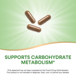 Nature's Way, Blood Sugar Management®, 90 капсул