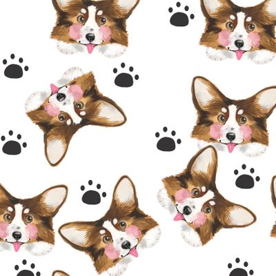 Корги лапки