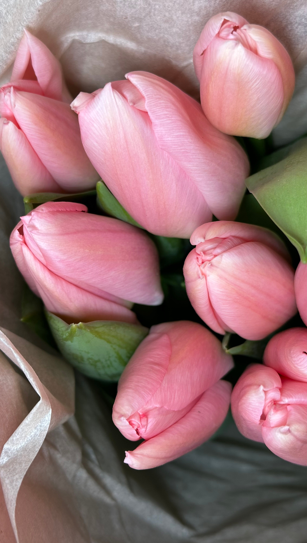 5 красных и 10 розовых