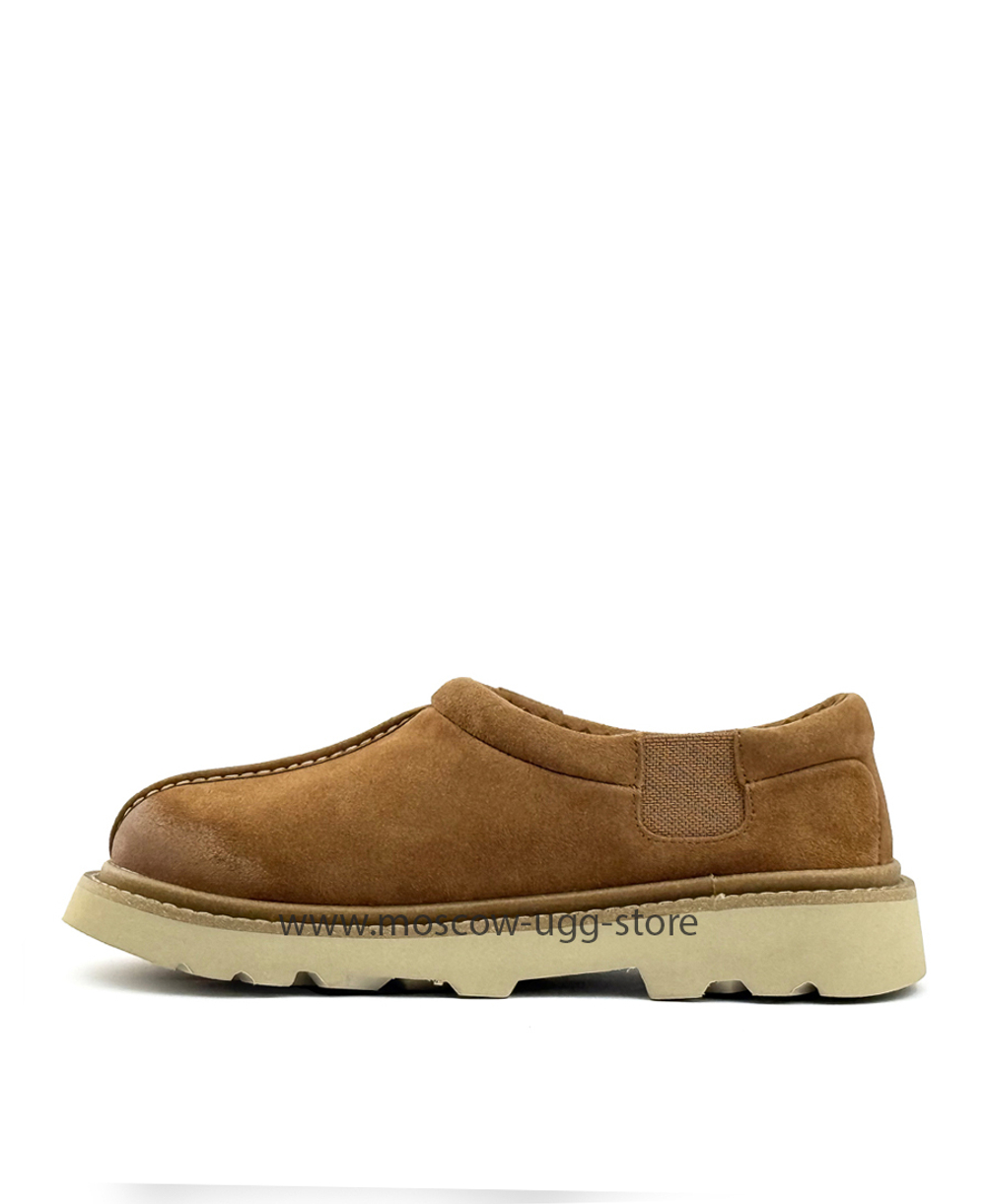 MEN'S TASMAN LUG - Chestnut