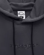 Худи Anteater Streetwear серый