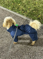 Демисезонный комбинезон для собак (мальчик)