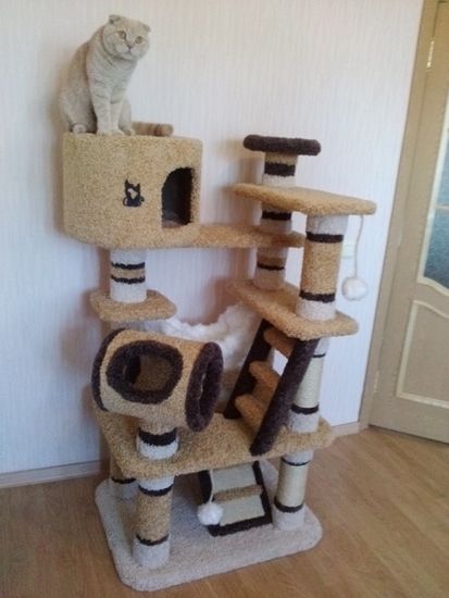 Комплекс для кошек К-162