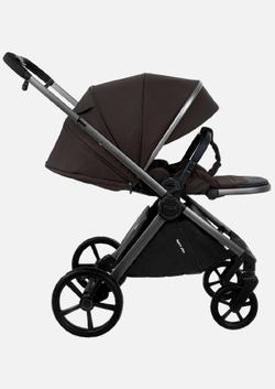 Pituso Коляска 2 в 1 Teffy Turkish Coffee/Graphite