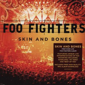 Foo Fighters / Skin And Bones (2LP)