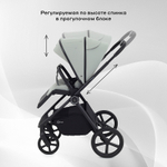 Детская коляска Rant Teo 3 в 1 Sage