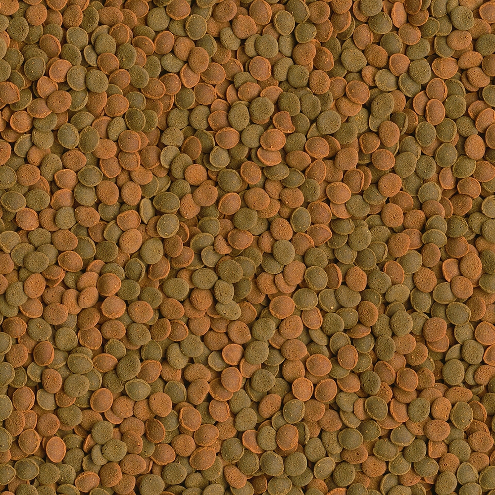Полноценный корм для любых видов донных рыб и ракообразных 15гр TetraWaferMix