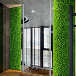 Вертикальное озеленение частного интерьера стабилизированным мхом. г.Краснодар