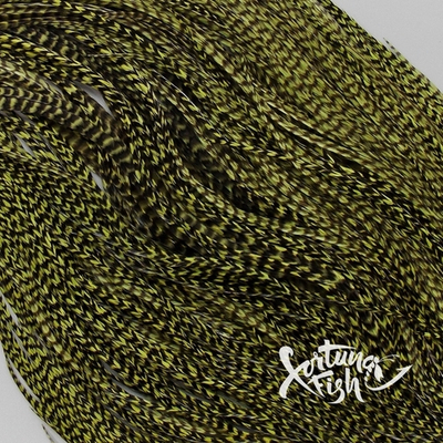 Перо из седла петуха Grizzly Olive