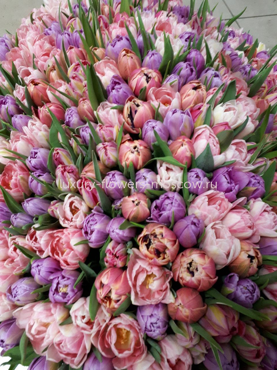 401 пионовидный тюльпан микс в корзине 3