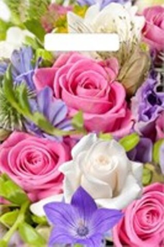 Пакет ВУР 20*30см 30мкм	Лирика  /10 шт