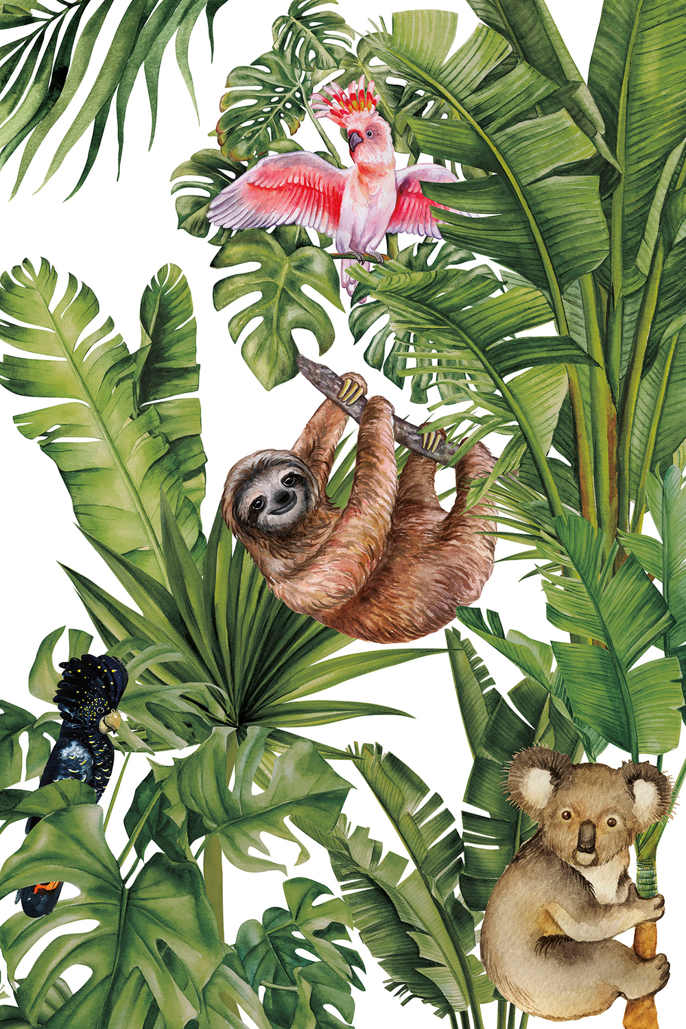 Коллекция Тропическое