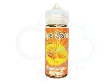Купить Жидкость Vape Nation ICE MANGO 120 мл