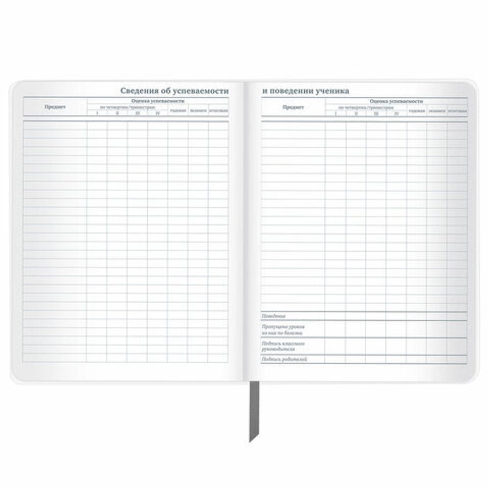 Дневник 1-11 класс 48 л., кожзам (твердая с поролоном), тиснение, аппликация, BRAUBERG, "Extreme", 106569